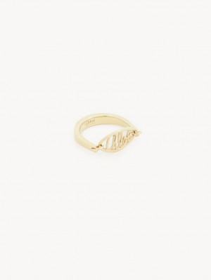 Anillos Chloe Darcey Encaje Dorados | CHE-SR14436