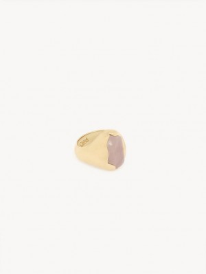 Anillos Chloe Sybil Dorados Claro | CHE-SR14449