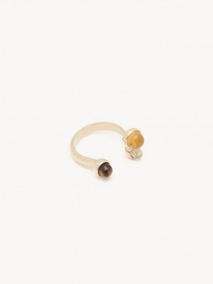 Anillos Chloe Zodiac Scorpio Multicolor | CHE-SR14366