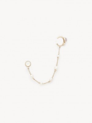 Aretes Chloe Darcey Dorados | CHE-SR14363