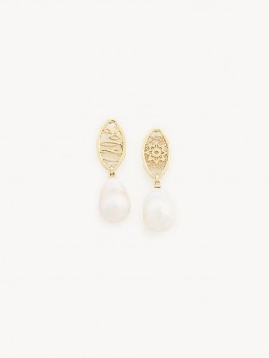 Aretes Chloe Darcey Encaje Drop Dorados Blancos | CHE-SR14438