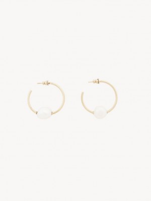 Aretes Chloe Darcey Hoop Dorados Blancos | CHE-SR14441