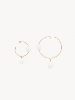 Aretes Chloe Darcey Hoop Dorados Blancos | CHE-SR14442
