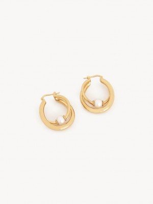 Aretes Chloe Darcey Hoop Dorados Claro | CHE-SR14456