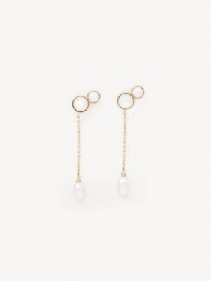 Aretes Chloe Darcey Long Dorados | CHE-SR14362