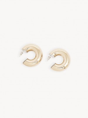 Aretes Chloe Nancy Hoop Dorados | CHE-SR14355