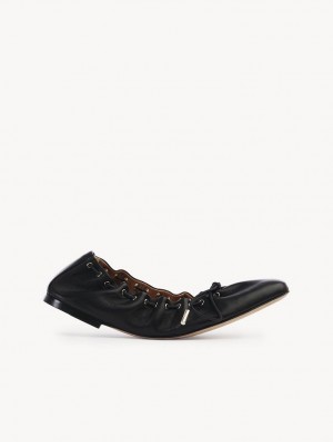 Ballet Flat Chloe Oracia Negros | CHE-SR14261