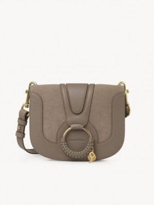 Bolsa De Hombro Chloe Hana Grises | CHE-SR14645
