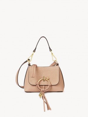 Bolsa De Hombro Chloe Joan Mini Cafes Rosas | CHE-SR14696