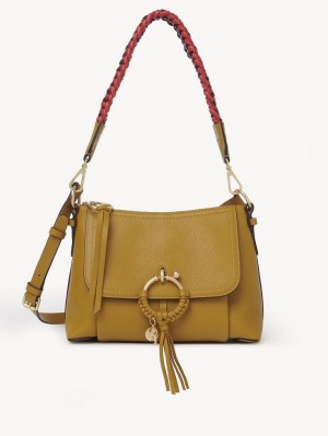 Bolsa De Hombro Chloe Joan Small Marrom | CHE-SR14648