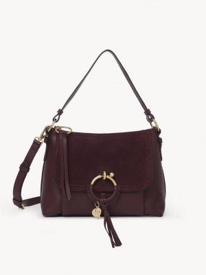 Bolsa De Hombro Chloe Joan Small Vino | CHE-SR14650