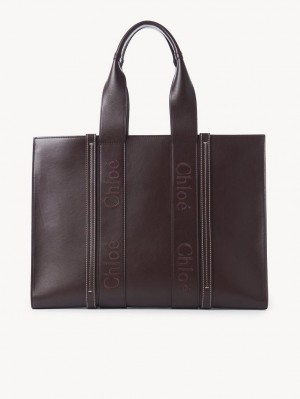 Bolsa De Hombro Chloe Large Woody Azules | CHE-SR13433
