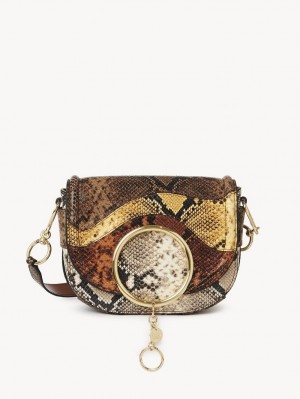 Bolsa De Hombro Chloe Mara Marrom | CHE-SR14597