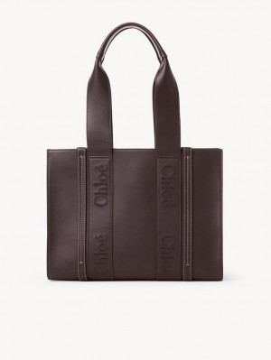 Bolsa De Hombro Chloe Medium Woody Azules | CHE-SR13431
