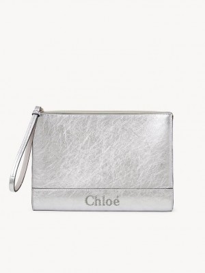 Bolso Pequeño Chloe Sense Zippered Plateados | CHE-SR14323