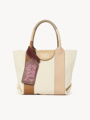 Bolso Tote Chloe Laetizia Small Marrom | CHE-SR14710