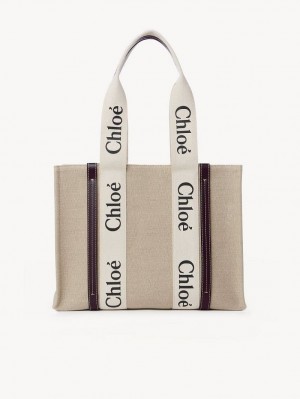 Bolso Tote Chloe Medium Woody Azules | CHE-SR13362