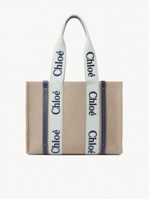 Bolso Tote Chloe Medium Woody Verdes Azules | CHE-SR13365