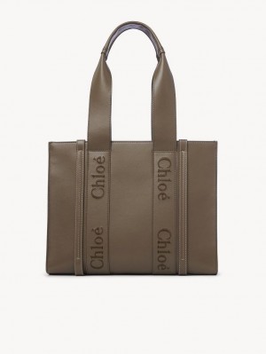 Bolso Tote Chloe Medium Woody Verdes | CHE-SR13340