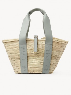 Bolso Tote Chloe Sense Medium Basket Verdes | CHE-SR13383