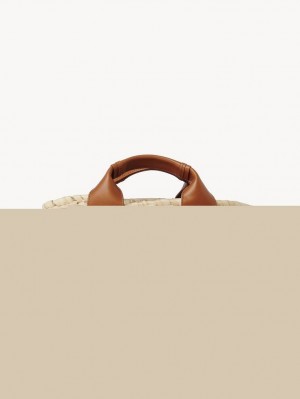 Bolso Tote Chloe Sense Small Basket Marrom | CHE-SR13320
