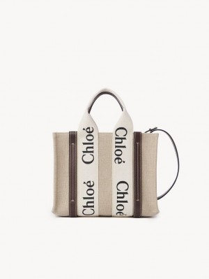 Bolso Tote Chloe Small Woody Azules | CHE-SR13361