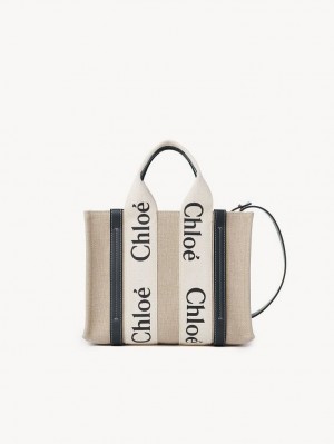 Bolso Tote Chloe Small Woody Blancos Azules | CHE-SR13366