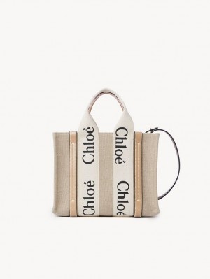 Bolso Tote Chloe Small Woody Blancos Beige | CHE-SR13373