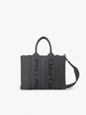 Bolso Tote Chloe Small Woody Grises | CHE-SR13349