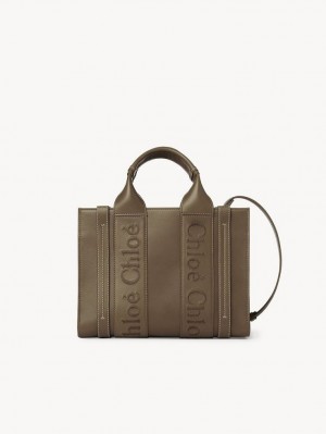 Bolso Tote Chloe Small Woody Verdes | CHE-SR13339