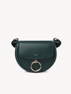 Bolsos Cruzados Chloe Arlène Small Crossbody Verdes | CHE-SR13463