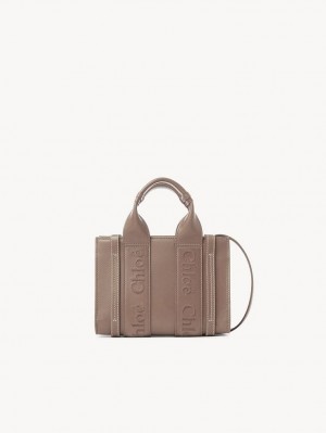 Bolsos Cruzados Chloe Mini Woody Marrom | CHE-SR13569