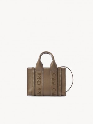 Bolsos Cruzados Chloe Mini Woody Verdes | CHE-SR13521