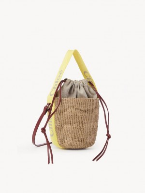 Bolsos Cruzados Chloe Small Woody Basket Amarillos Beige | CHE-SR13565