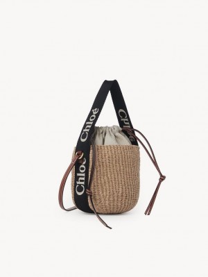 Bolsos Cruzados Chloe Small Woody Basket Negros Beige | CHE-SR13566
