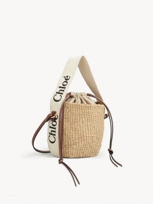 Bolsos Cruzados Chloe Small Woody Basket Blancos | CHE-SR13609