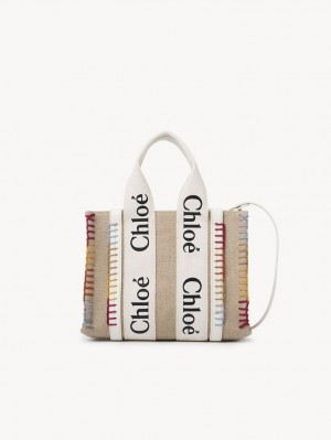 Bolsos Cruzados Chloe Small Woody Blancos | CHE-SR13514