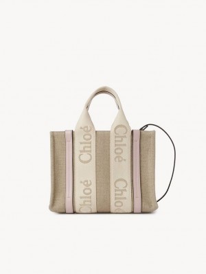 Bolsos Cruzados Chloe Small Woody Grises | CHE-SR13622