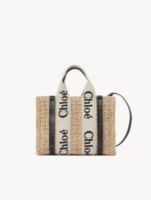 Bolsos Cruzados Chloe Small Woody Marrom | CHE-SR13625