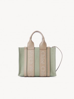 Bolsos Cruzados Chloe Small Woody Verdes | CHE-SR13557