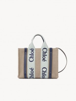 Bolsos Cruzados Chloe Small Woody Verdes Azules | CHE-SR13568