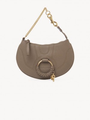 Bolsos Mini Chloe Hana Clutch Grises | CHE-SR14769