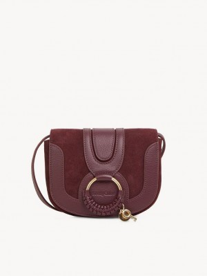 Bolsos Mini Chloe Hana Marrom | CHE-SR14725