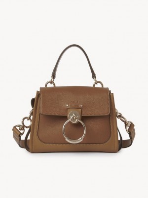 Bolsos Mini Chloe Tess Day Marrom | CHE-SR13660