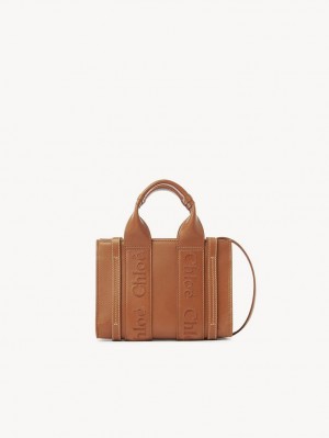 Bolsos Mini Chloe Woody Tote 1 Marrom | CHE-SR13726