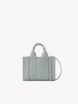 Bolsos Mini Chloe Woody Tote 1 Verdes | CHE-SR13697