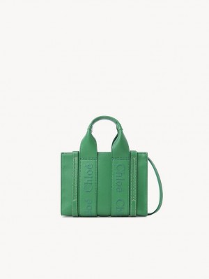 Bolsos Mini Chloe Woody Tote 1 Verdes | CHE-SR13698