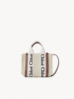 Bolsos Mini Chloe Woody Tote 2 Marrom Beige | CHE-SR13690