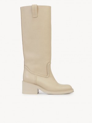 Botas Chloe Mallo High Grises | CHE-SR14221