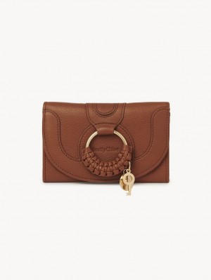 Carteras Pequeñas Chloe Hana Marrom | CHE-SR14905